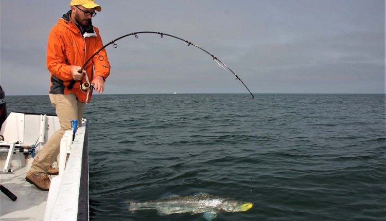 چوب ماهیگیری