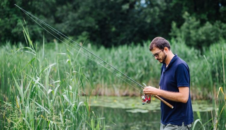 چوب ماهیگیری