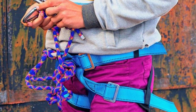 هارنس ورزشی