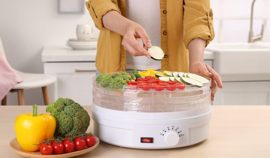 میوه خشک کن