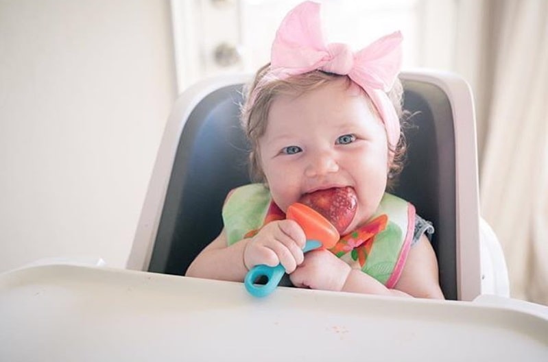 فیدر غذاخوری