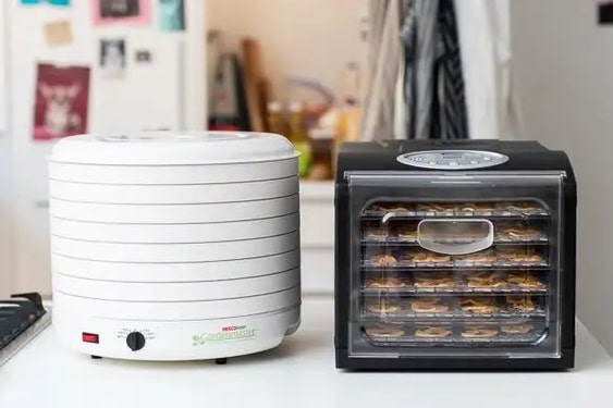 میوه خشک کن