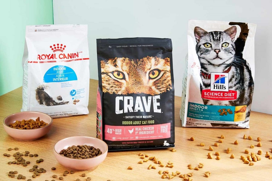 غذای خشک گربه