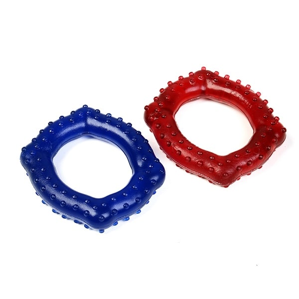 حلقه تمرینی