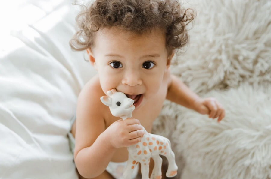 دندان گیر نوزاد