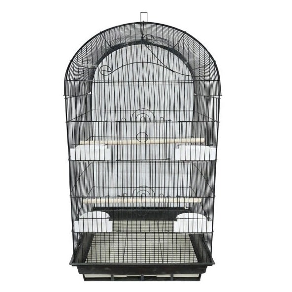 قفس عروس هلندی