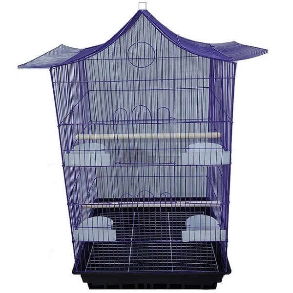 قفس عروس هلندی